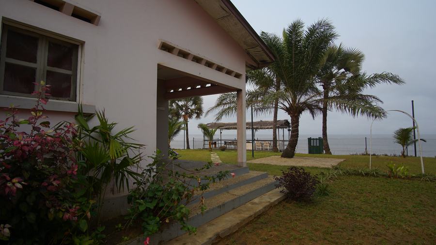 La villa et ses palmiers