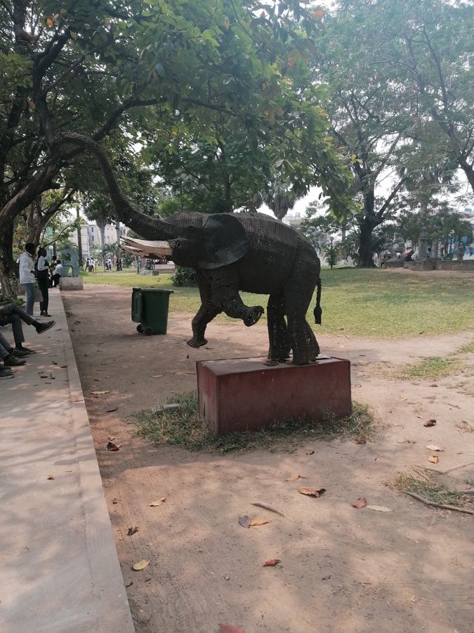 L’éléphant, vu de près