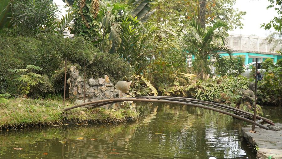Le petit pont sur le bassin